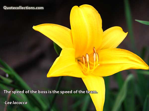 Lee Iacocca Quotes1
